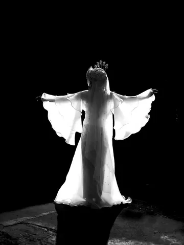 A bride from behind, her winged sleeves spread wide against black, in black and white